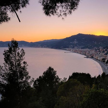 Beach & Relax With Terrace - Happy Rentals Alassio Esterno foto